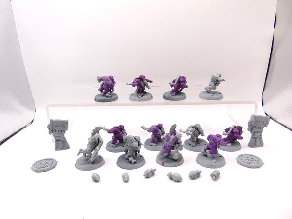 Dwarf Team The Dwarf Giants