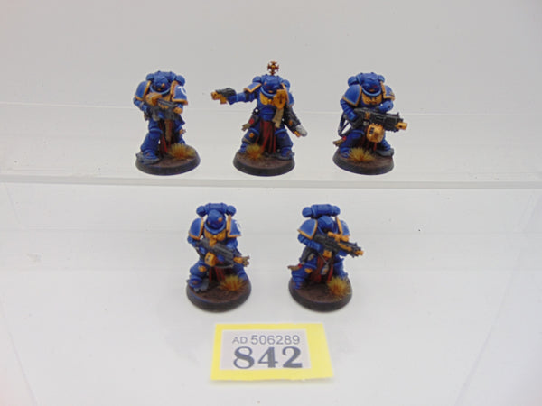 Sternguard Veterans