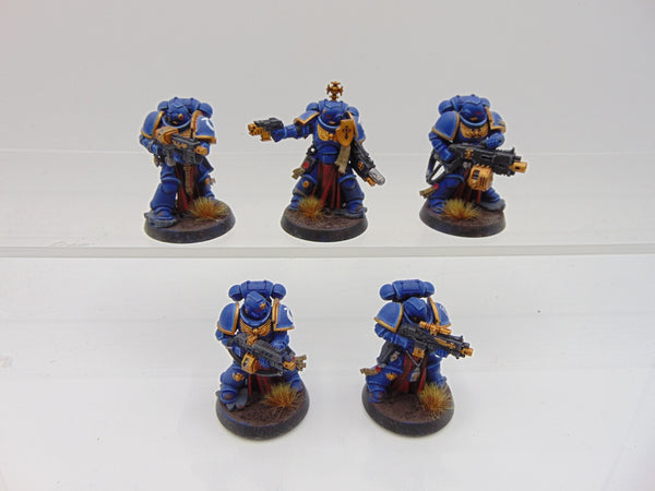 Sternguard Veterans