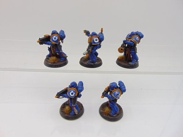 Sternguard Veterans