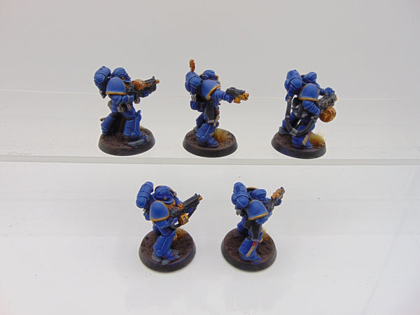 Sternguard Veterans