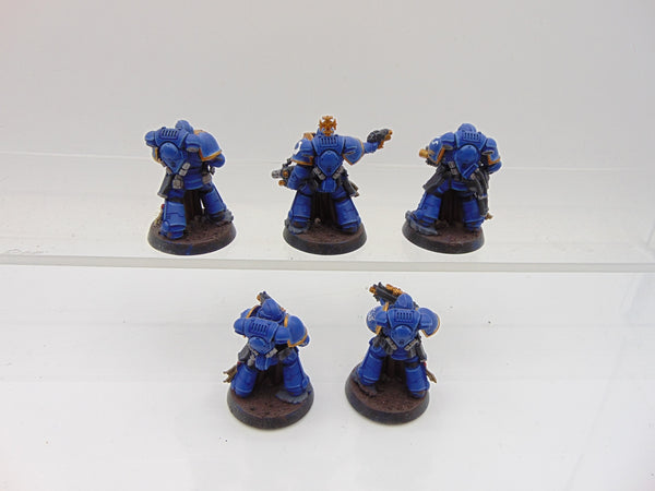 Sternguard Veterans