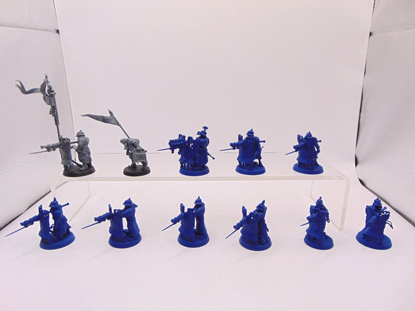 Freeguild Fusiliers