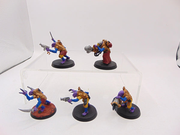 Acolyte Hybrids