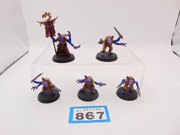 Acolyte Hybrids