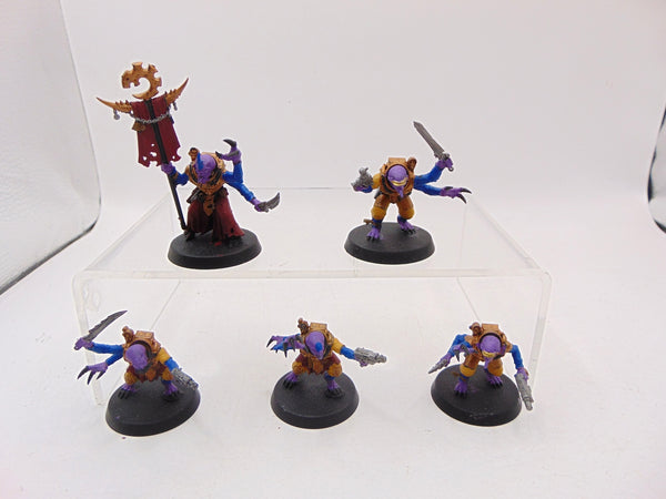 Acolyte Hybrids