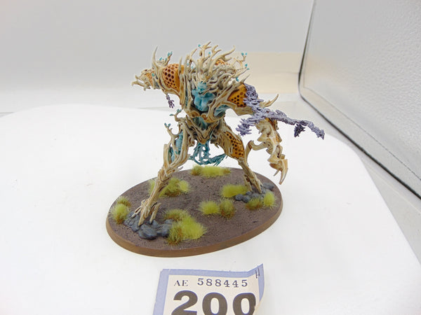 Drycha Hamadreth