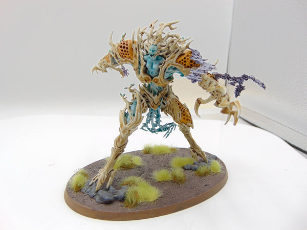 Drycha Hamadreth