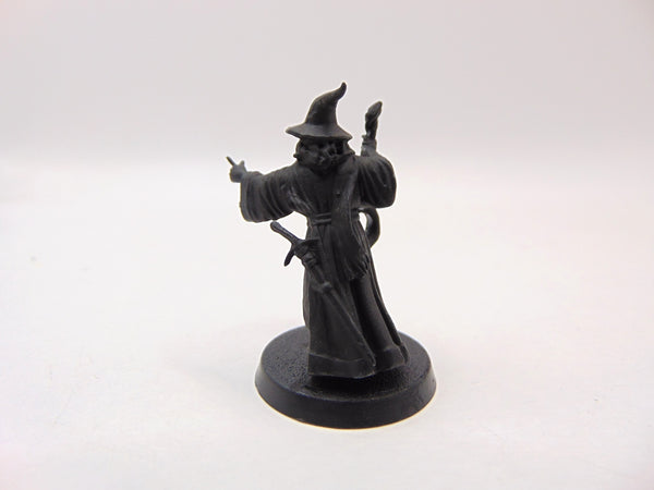 Gandalf the Grey