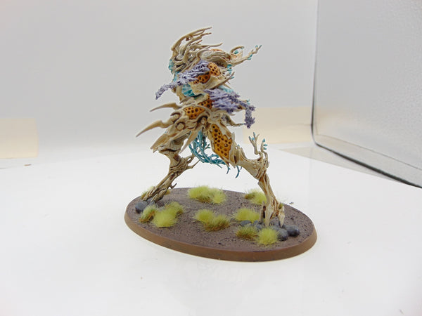 Drycha Hamadreth