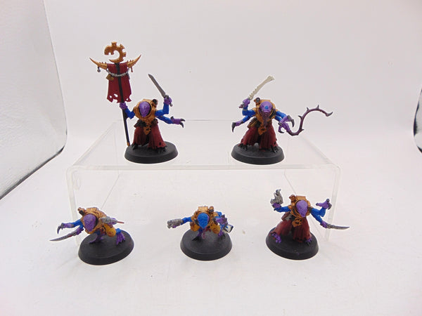 Acolyte Hybrids