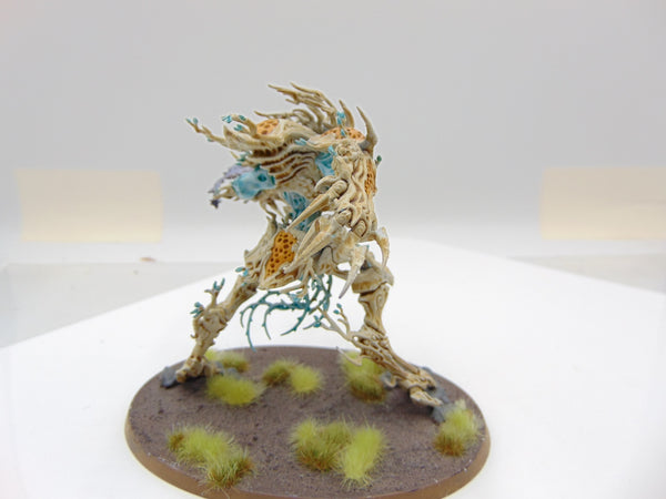 Drycha Hamadreth