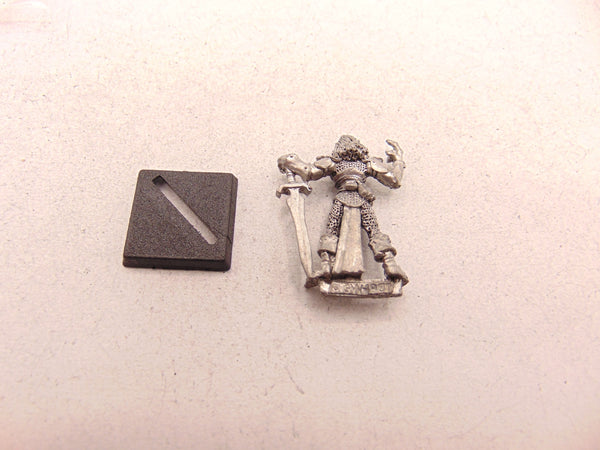 Wood Elves Caelga Sorrowblade Elf Captain
