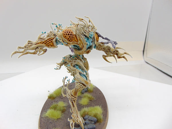 Drycha Hamadreth