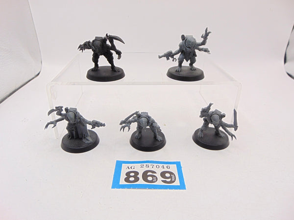 Acolyte Hybrids