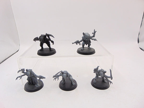 Acolyte Hybrids