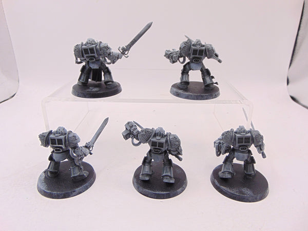 Brotherhood Terminator Squad