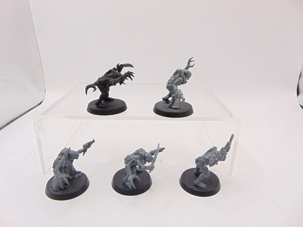 Acolyte Hybrids