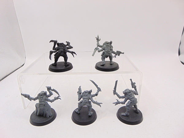 Acolyte Hybrids