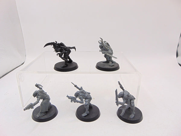 Acolyte Hybrids