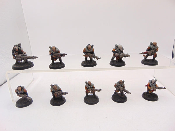 Neophyte Hybrids