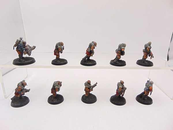 Neophyte Hybrids