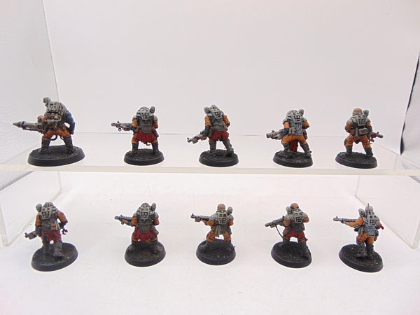 Neophyte Hybrids