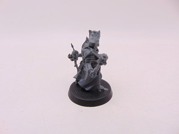 Ministorum Priest Taddeus the Purifier