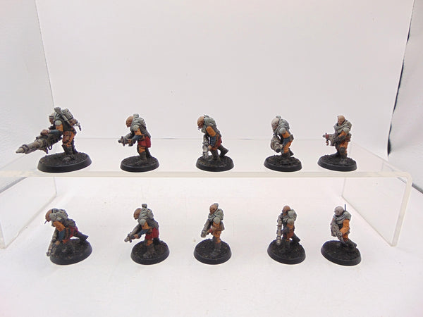 Neophyte Hybrids