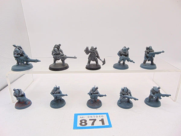 Neophyte Hybrids