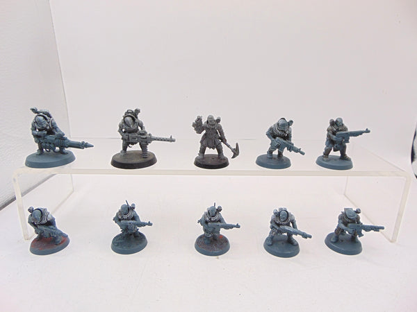 Neophyte Hybrids