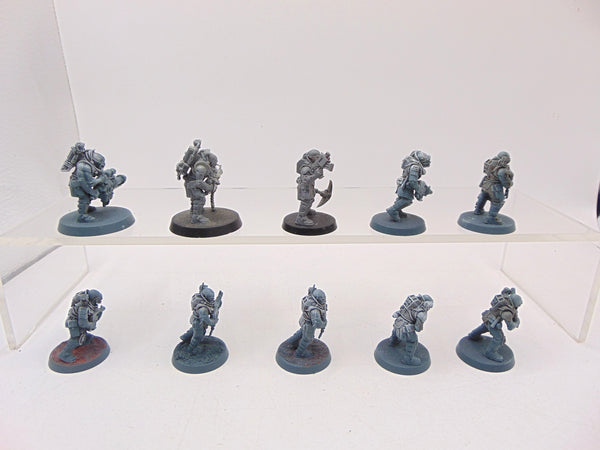 Neophyte Hybrids