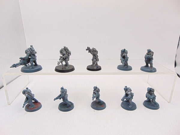 Neophyte Hybrids