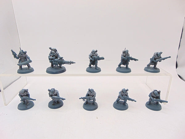 Neophyte Hybrids