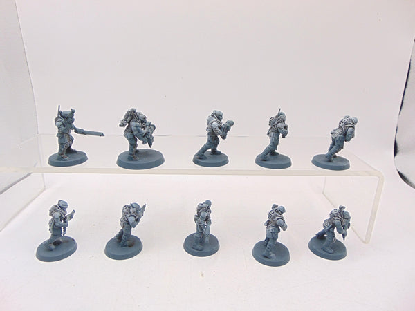 Neophyte Hybrids