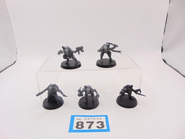 Acolyte Hybrids