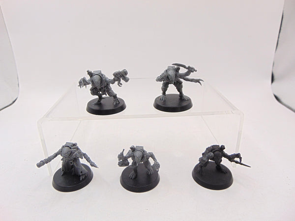 Acolyte Hybrids