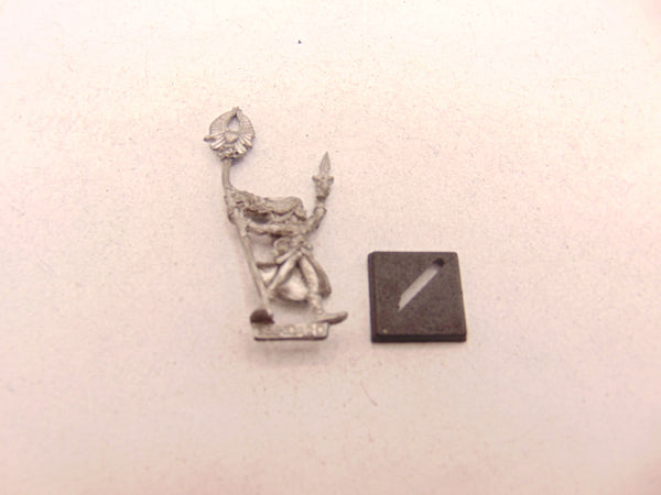 Kaia Stormwitch Skarloc's Wood Elf Archers