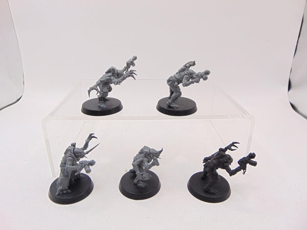 Acolyte Hybrids