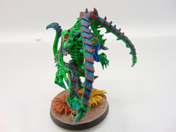 Lictor