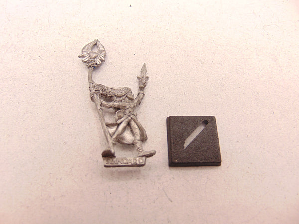 Kaia Stormwitch Skarloc's Wood Elf Archers