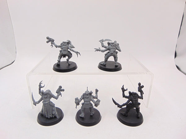 Acolyte Hybrids