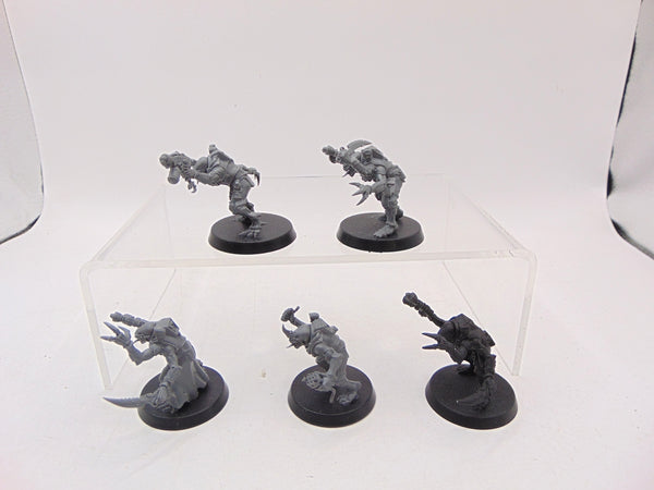Acolyte Hybrids