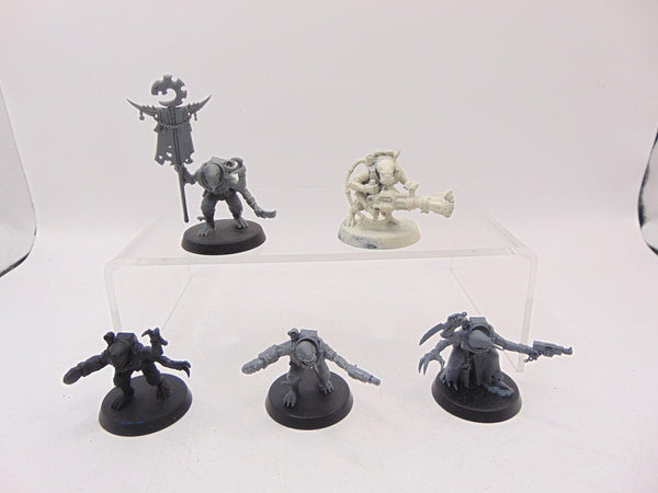Acolyte Hybrids
