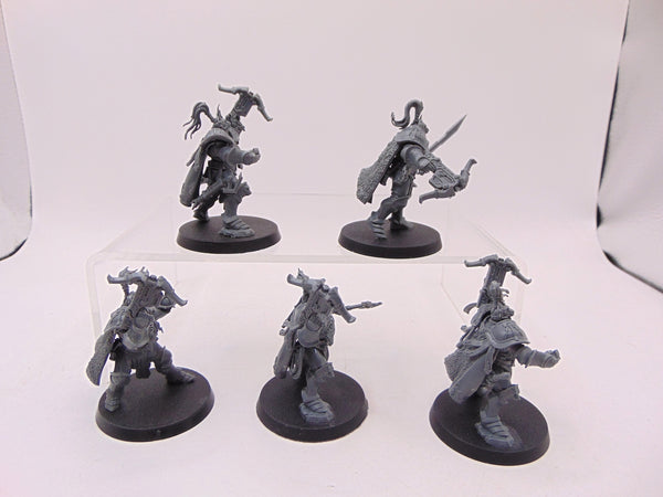 Vanguard Hunters