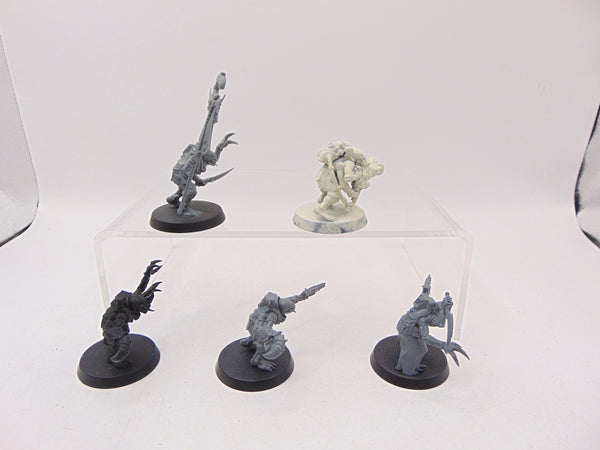 Acolyte Hybrids