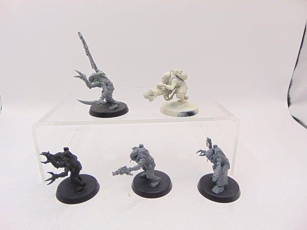 Acolyte Hybrids