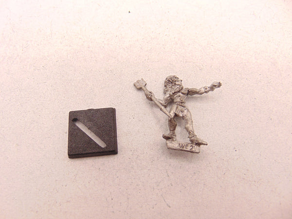 Marauder Wood Elf Warrior