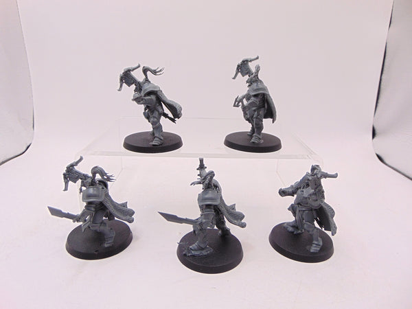 Vanguard Hunters