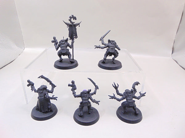 Acolyte Hybrids